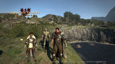 nexus dragons dogma 2|dragon's dogma 2 mod nexus.